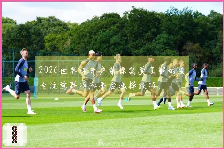 2026世界杯开户前你需要了解的安全注意事项和平台选择技巧